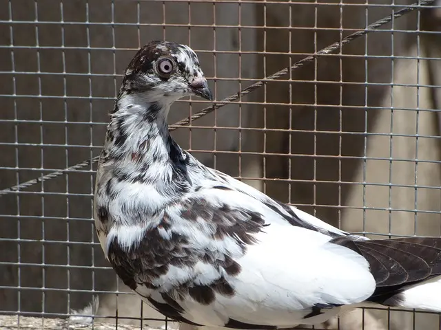 Évitez les erreurs de réservation de vol