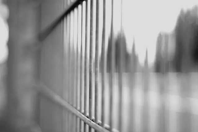 The Ultimate Guide to Vegetable Garden Projects